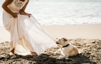 MILAGROS + MARTIN |Trash the Dress|