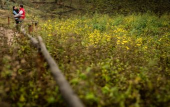 KATHY + NELSON @Lomas de Lachay |Engagement|